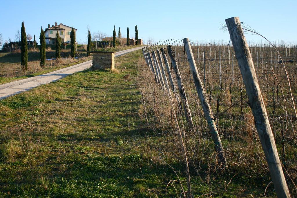Recchi Franceschini Bike Hotel Last - Minute - Availability Montalto delle Marche Bagian luar foto